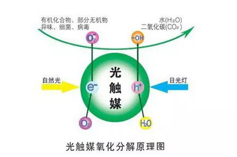 光觸媒能除甲醛嗎？